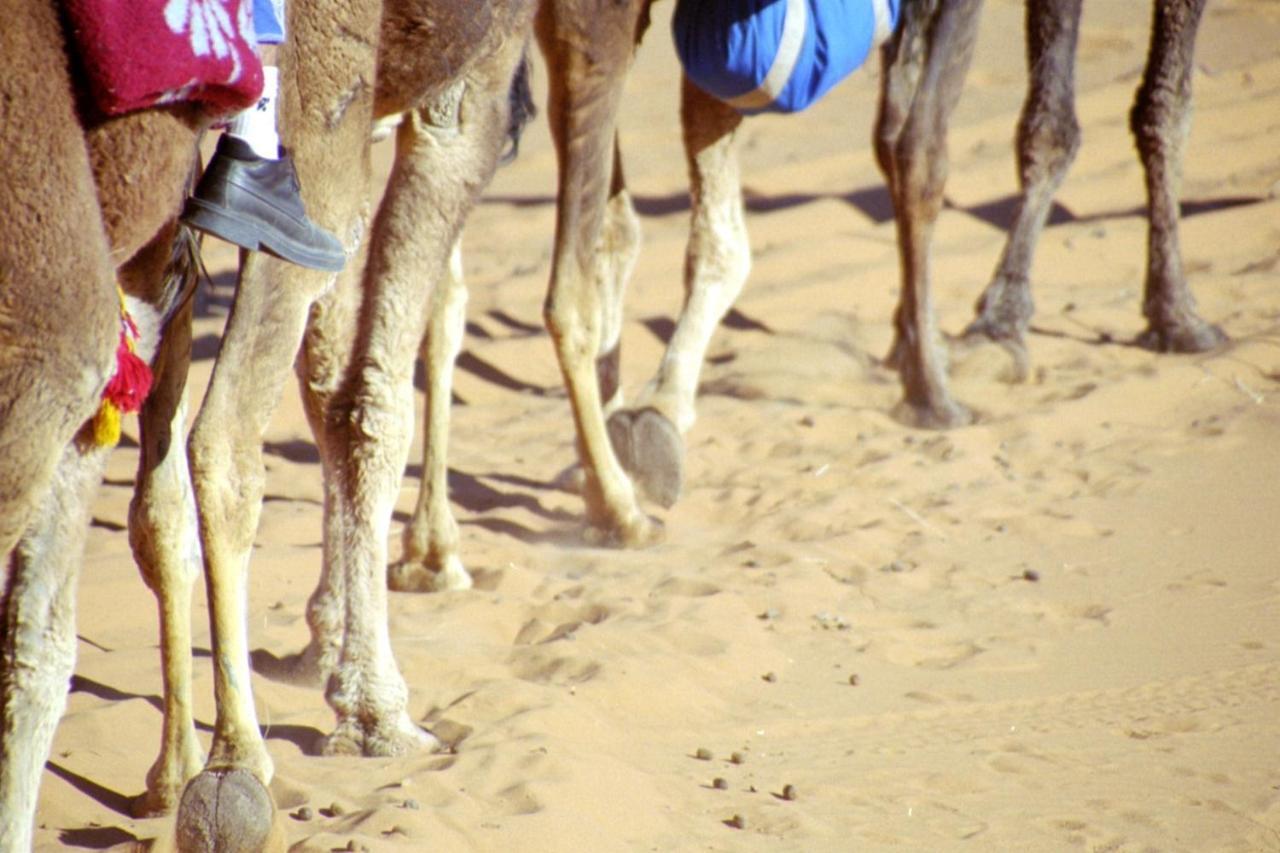 فندق مرزوكةفي  فندق هافون لا تشانس ديزرت المظهر الخارجي الصورة